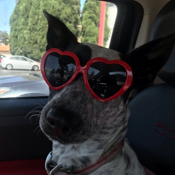 Meet your Posher, Andrea - Picture 5 of 5